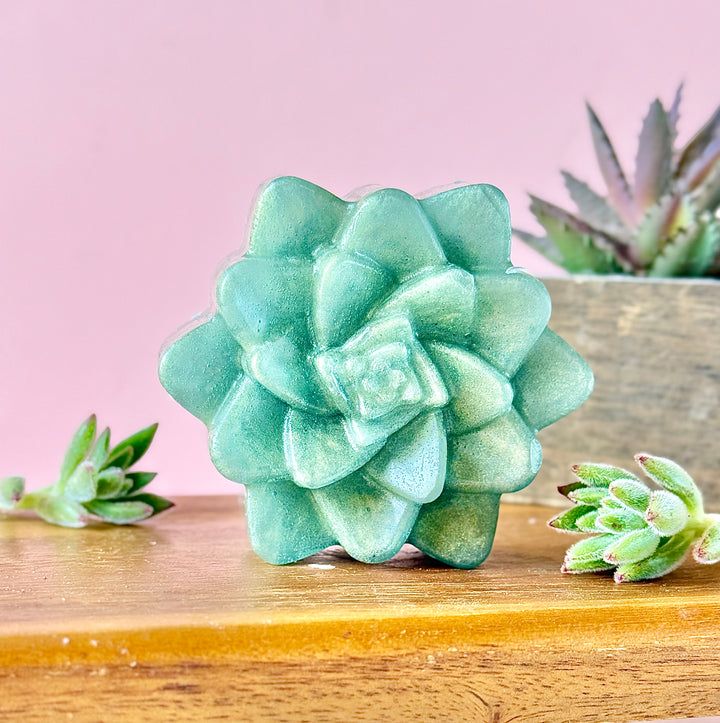 🌿 Evergreen Succulent – Vetiver & Bergamot